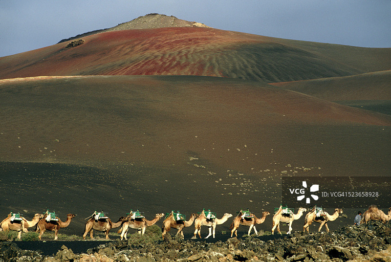 骆驼队穿过沙丘图片素材