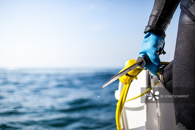 潜水员采鲍鱼图片素材