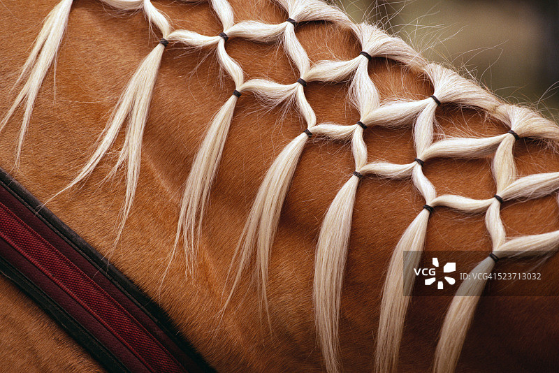 编织的马鬃图片素材