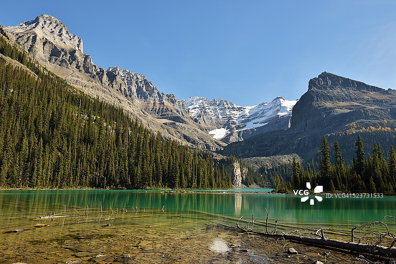 幽鹤国家公园的奥哈拉湖和休伯山图片素材