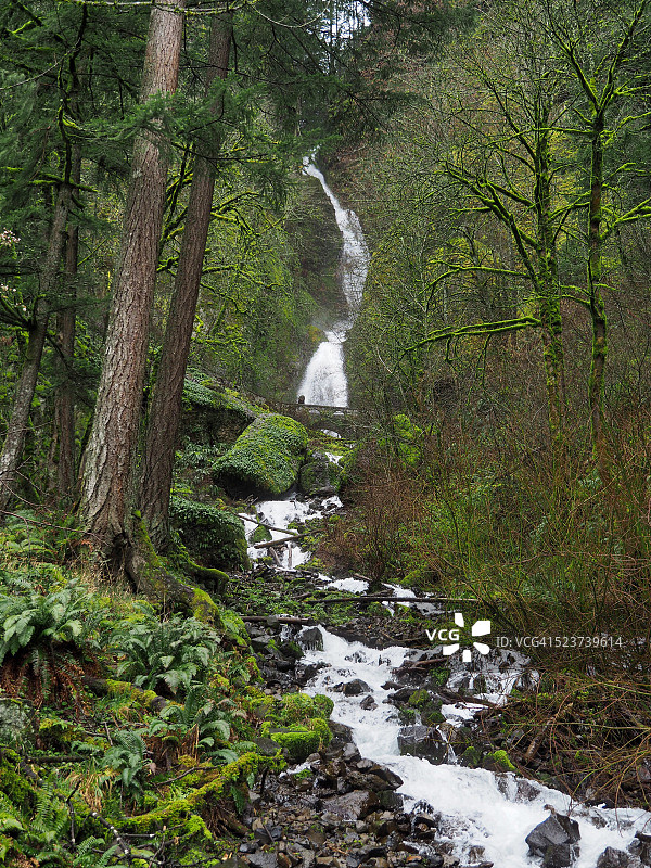 俄勒冈州哥伦比亚河峡谷瓦基纳瀑布图片素材