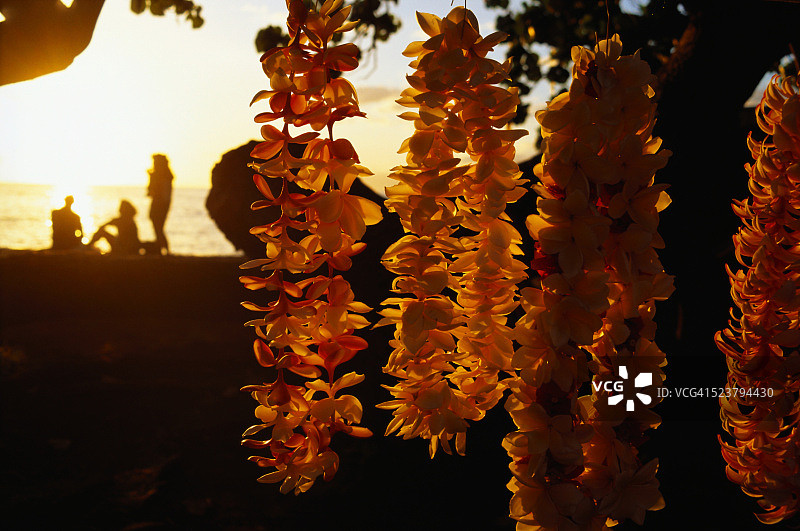 毛伊岛上的花环图片素材
