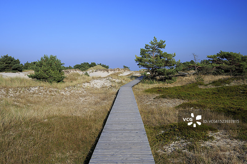 前波莫瑞潟湖区国家公园图片素材