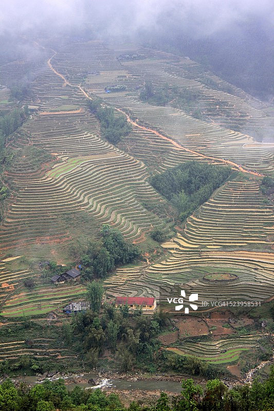 沙巴梯田风光图片素材