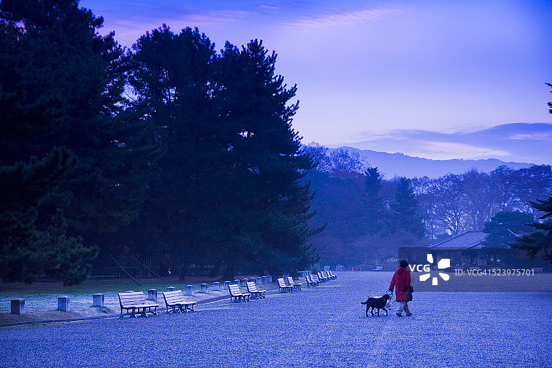 京都御苑的冬日清晨图片素材