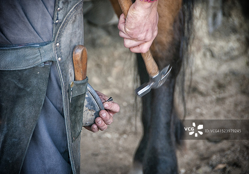 铁匠给马钉马掌图片素材
