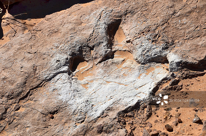 在小路上的异特龙足迹图片素材