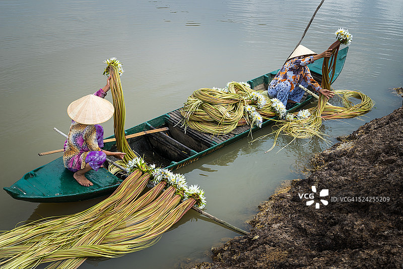 采集睡莲花图片素材
