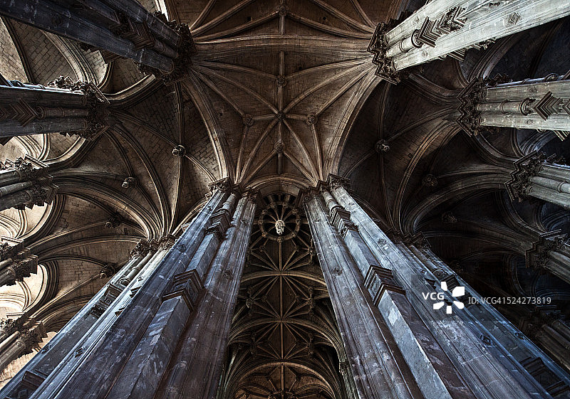 利维坦图片素材