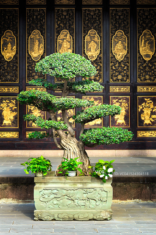 中国佛教寺庙里的盆景图片素材
