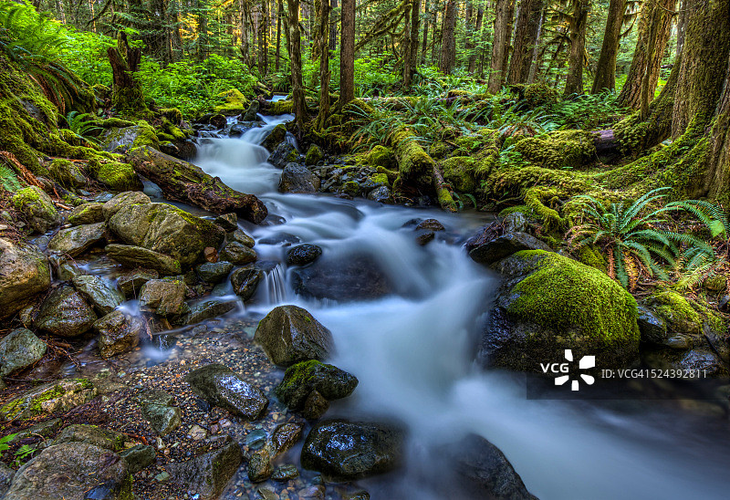 森林流图片素材