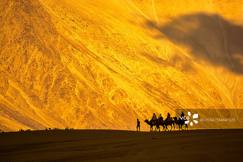 骆驼骑手图片素材