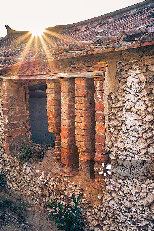 用于居住的贝壳图片素材