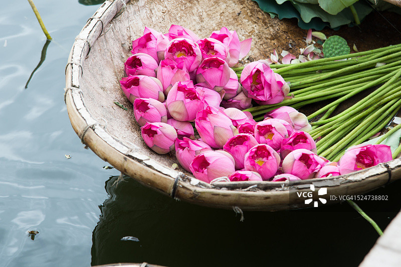 越南河内西湖的荷花船图片素材