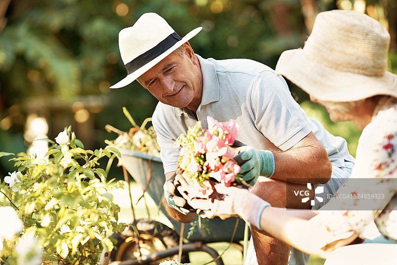 小心轻放图片素材