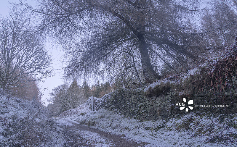 冬季赛道图片素材