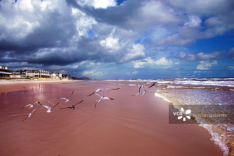 佛罗里达新士麦那海滩图片素材