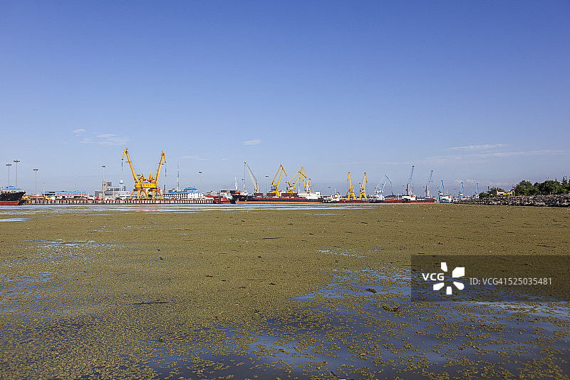 安扎利港图片素材