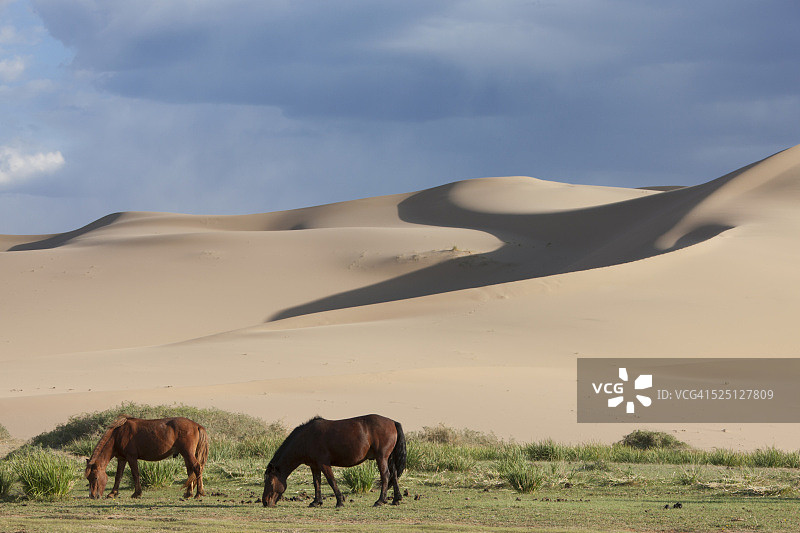 蒙古戈壁图片素材