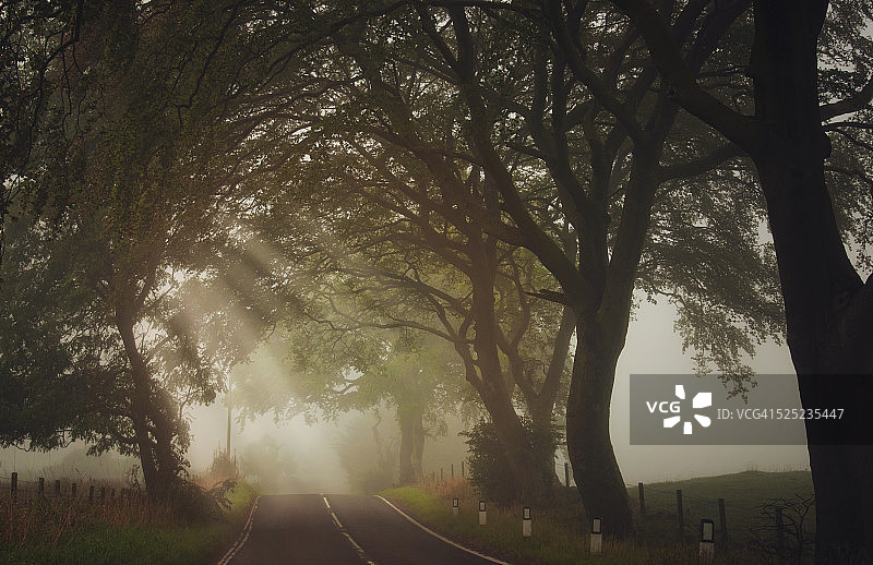 道路光线图片素材