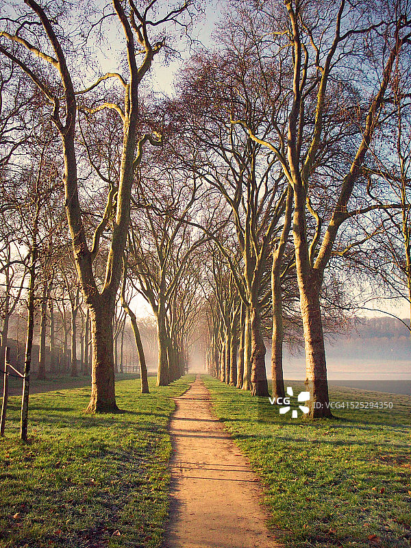 蜿蜒穿过伦敦悬铃木的道路，凡尔赛，巴黎图片素材