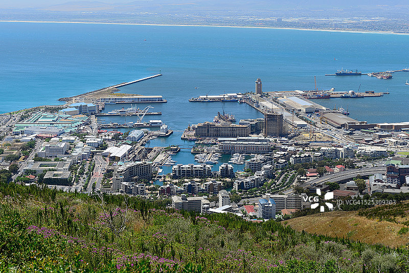 开普敦城市碗图片素材