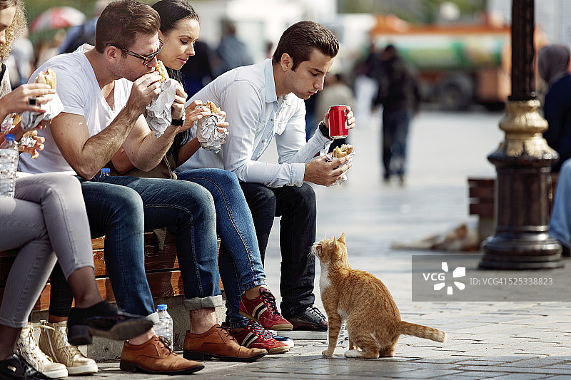 游客与朋友在苏丹艾哈迈德区休息图片素材