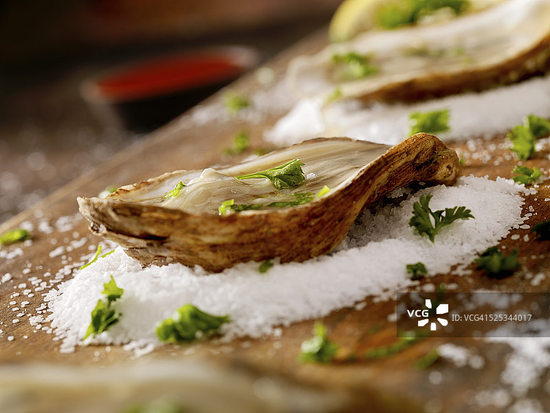 新鲜生蚝图片素材