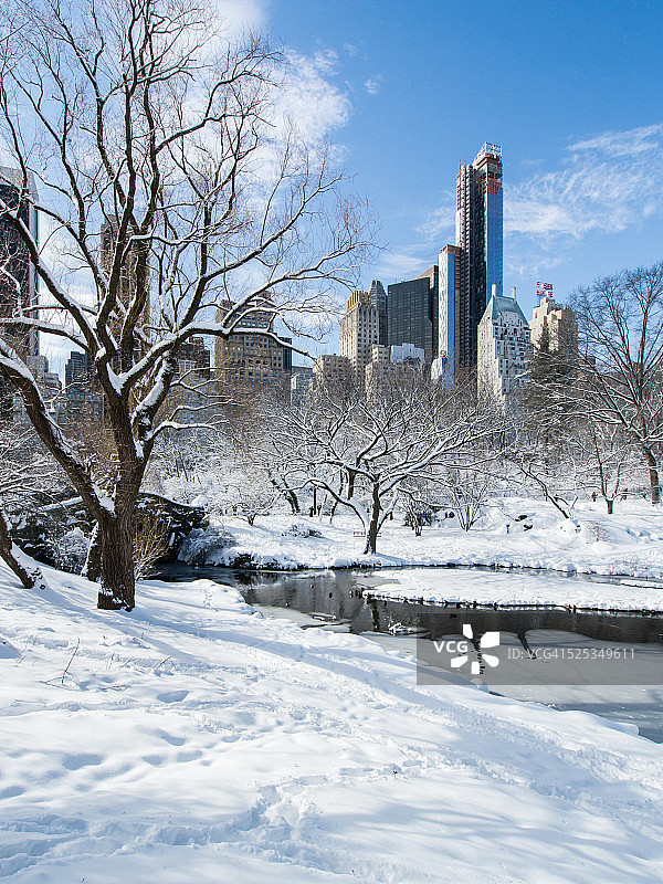 纽约中央公园的雪景图片素材