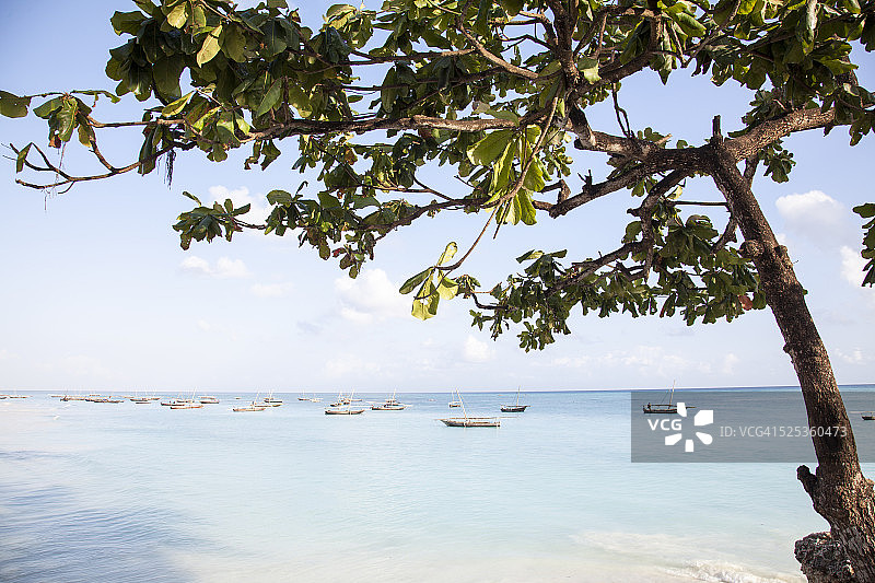 桑给巴尔岛上的渔船图片素材