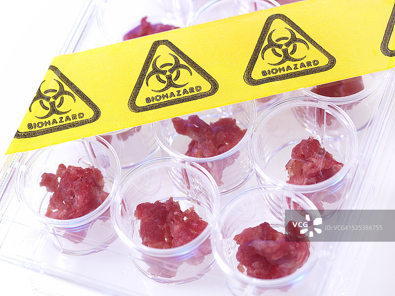 食品标准实验室中检测的肉类样品图片素材