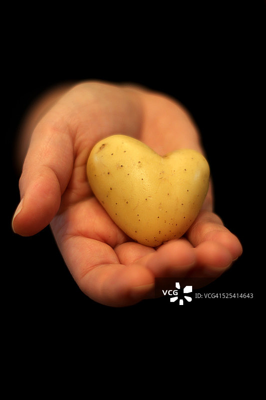 手中的心形土豆图片素材