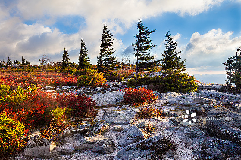 熊岩上的晨光图片素材
