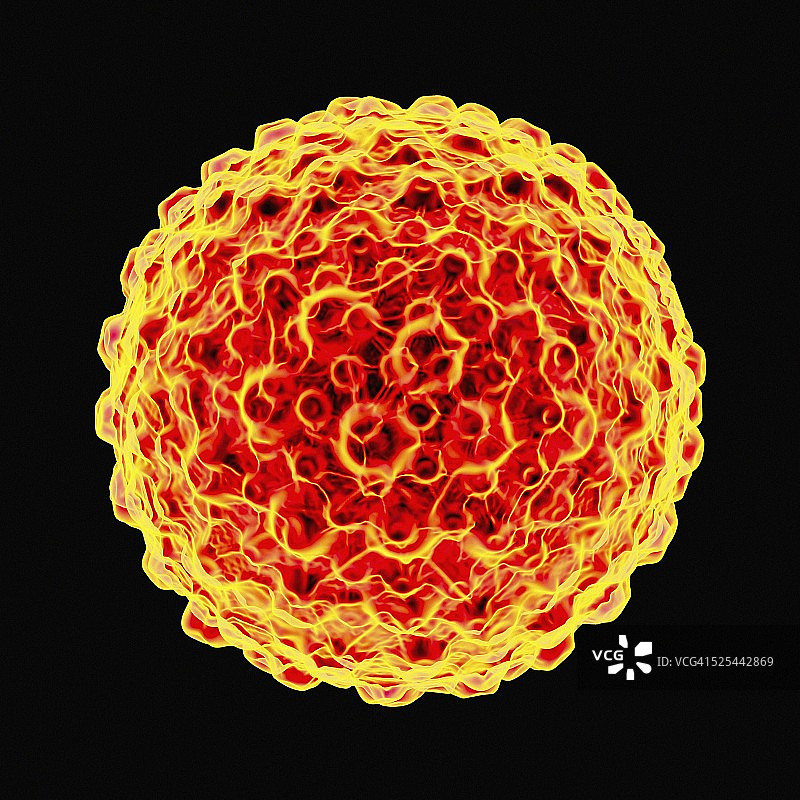 单纯疱疹病毒图片素材