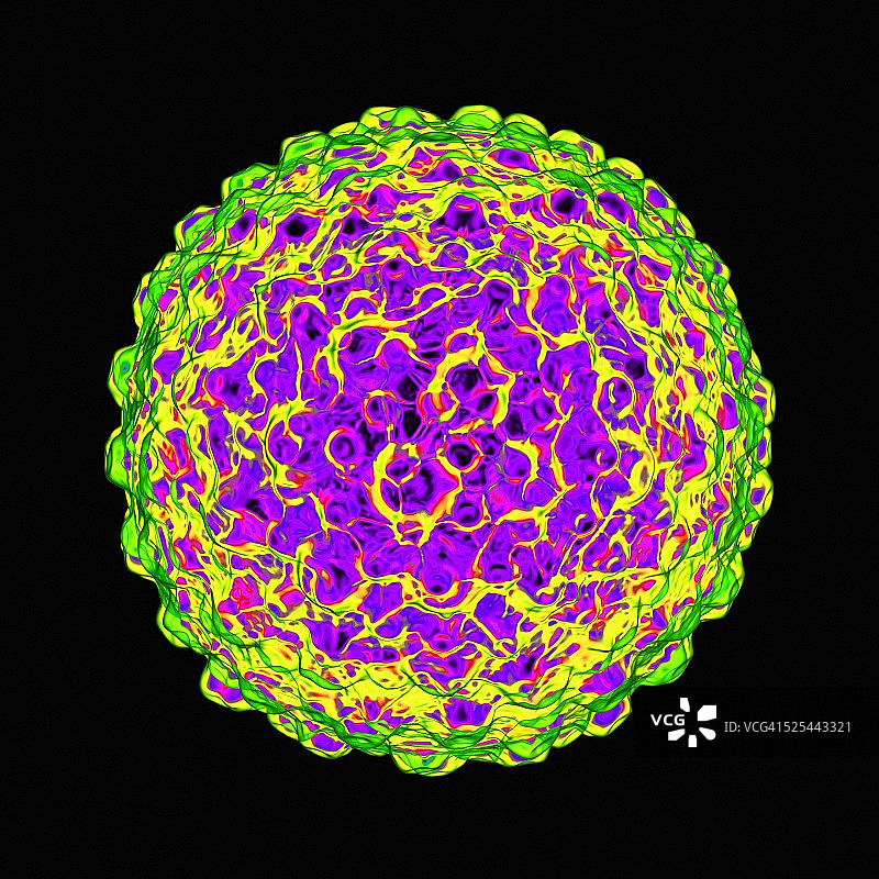 单纯疱疹病毒图片素材