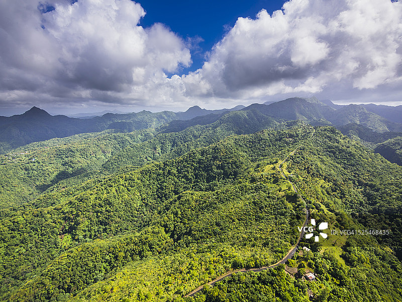 加勒比海圣卢西亚原始森林和山脉的航拍景色图片素材