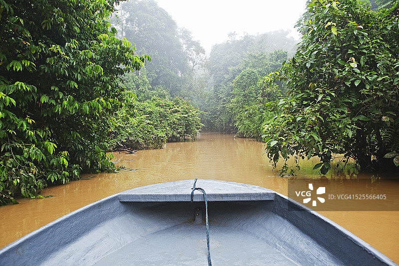 京那巴当岸河沙巴热带雨林风光图片素材