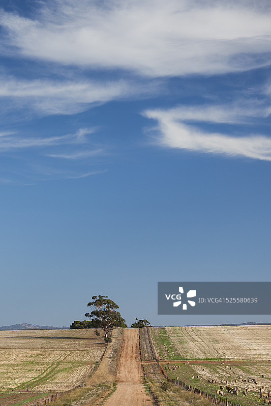 澳大利亚，戈默萨尔外观图片素材