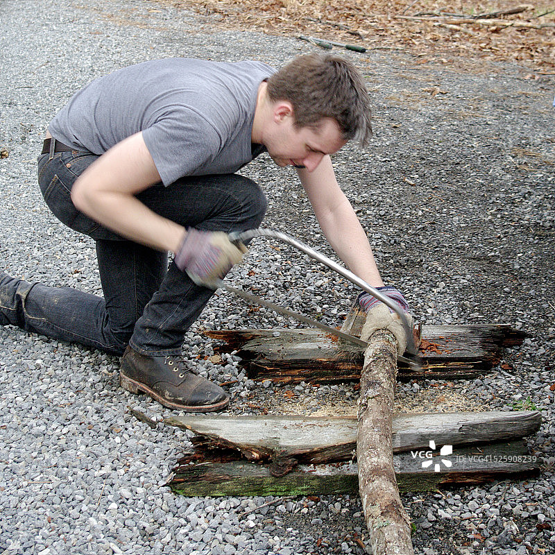 男人在户外锯木头图片素材