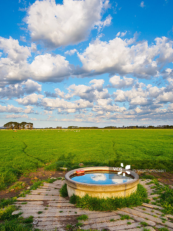 通往农场水箱的动物足迹图片素材
