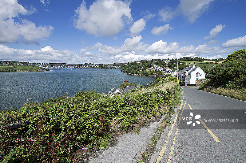 爱尔兰金塞尔图片素材