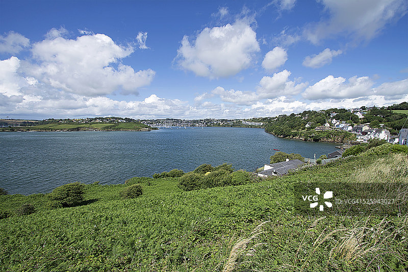 爱尔兰金塞尔图片素材