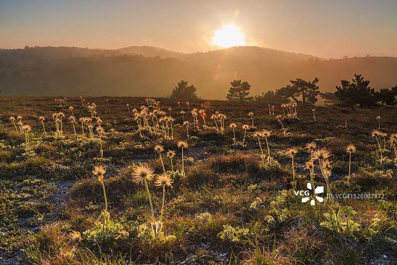 山里的春天图片素材