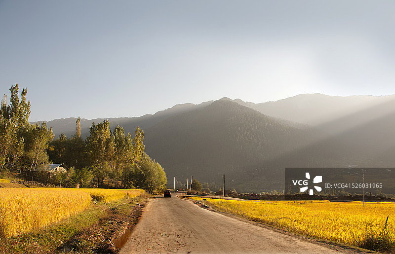 乡间小路与农田图片素材