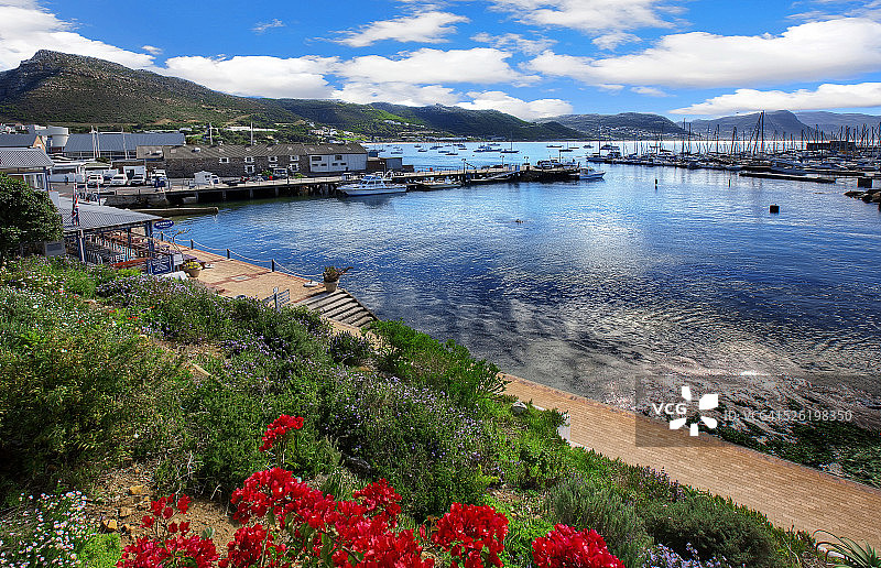 南非福尔斯湾西蒙镇图片素材