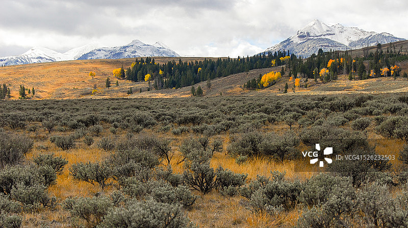 天鹅湖的秋日清晨。图片素材