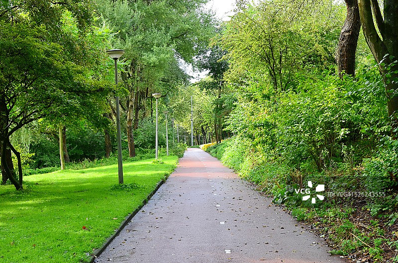 绿地公园里孤独的小路图片素材