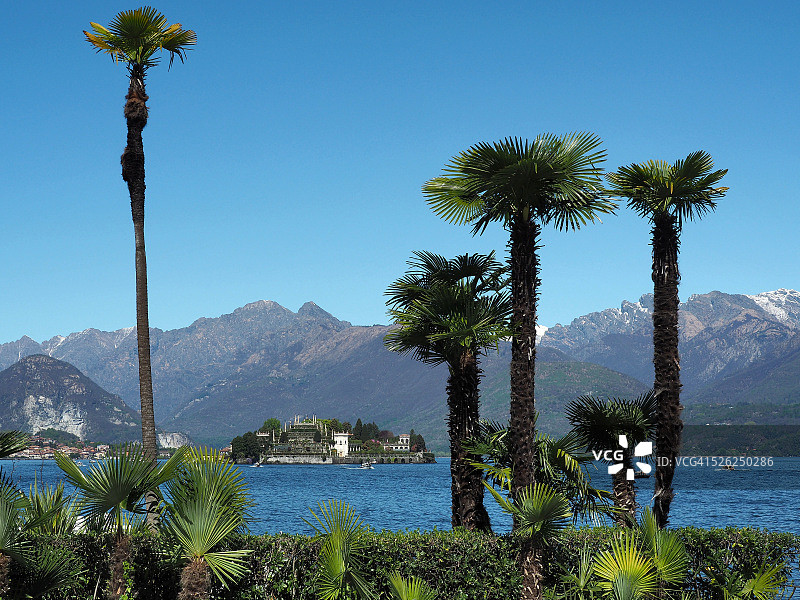 意大利北部马焦雷湖斯特雷萨的贝拉岛棕榈树图片素材