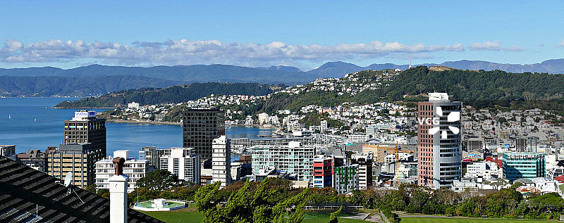 惠灵顿全景图片素材