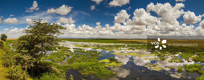肯尼亚安博塞利国家公园图片素材